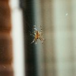 秘密研究所地址 qwzis3kj9l